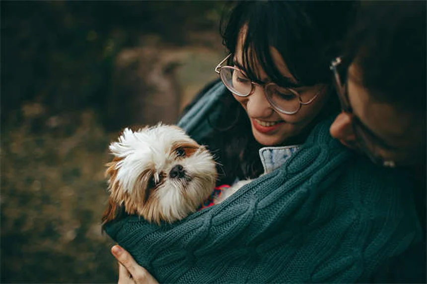 Hunde Bewegung: 5 einfache Wege für mehr Aktivität mit deinem Vierbeiner